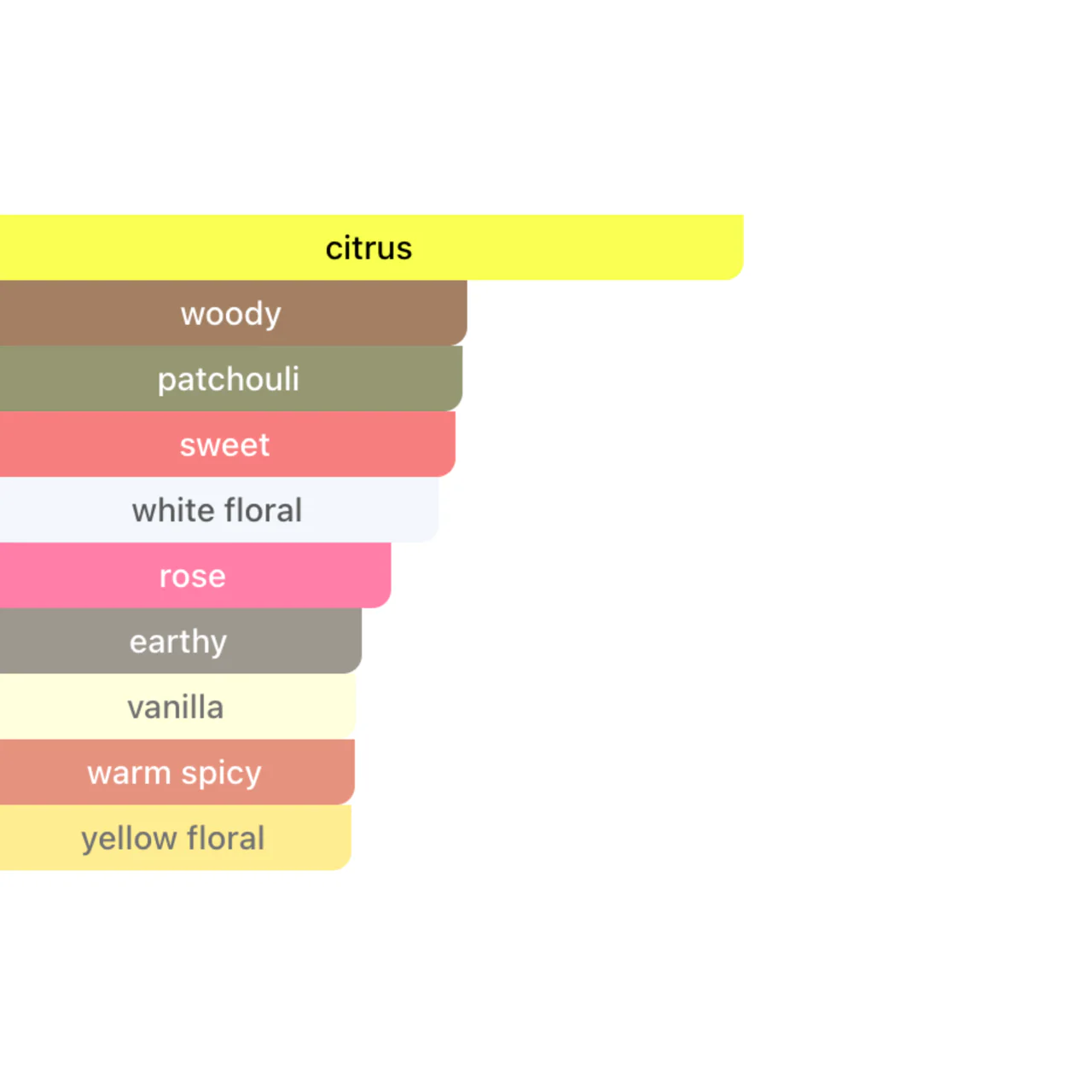 Millennial Perfumer™ – Coco | Coco Mademoiselle Type (Profile Matches) | Fresh Citrus, Elegant Florals & Warm Vanilla Patchouli | Modern Feminine Signature - Image 5