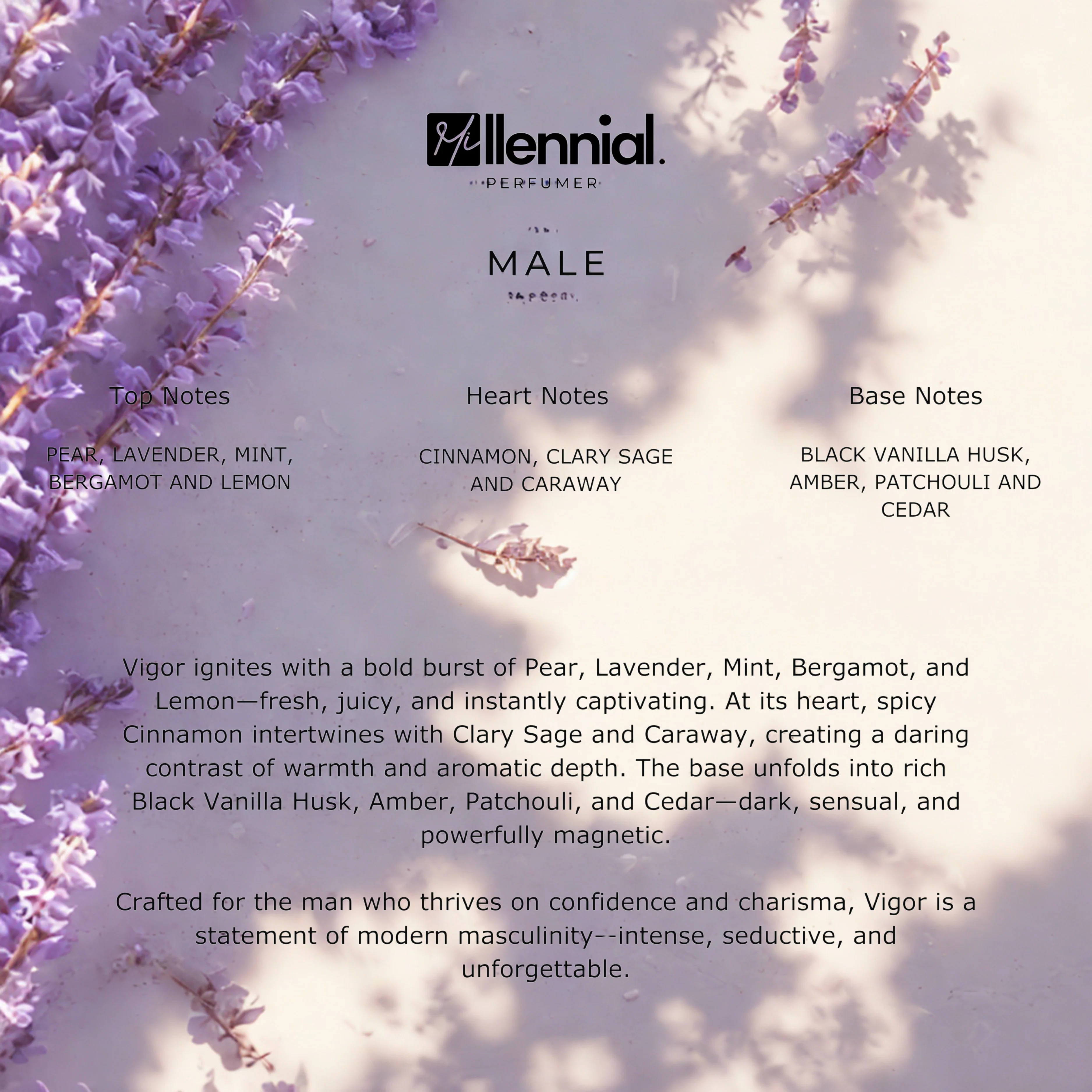Millennial Perfumer™ – Male | JPG Ultra Male Type (Profile Match) | Bold Sweet & Seductive with Pear Cinnamon & Vanilla | Intense Masculine Seduction - Image 5