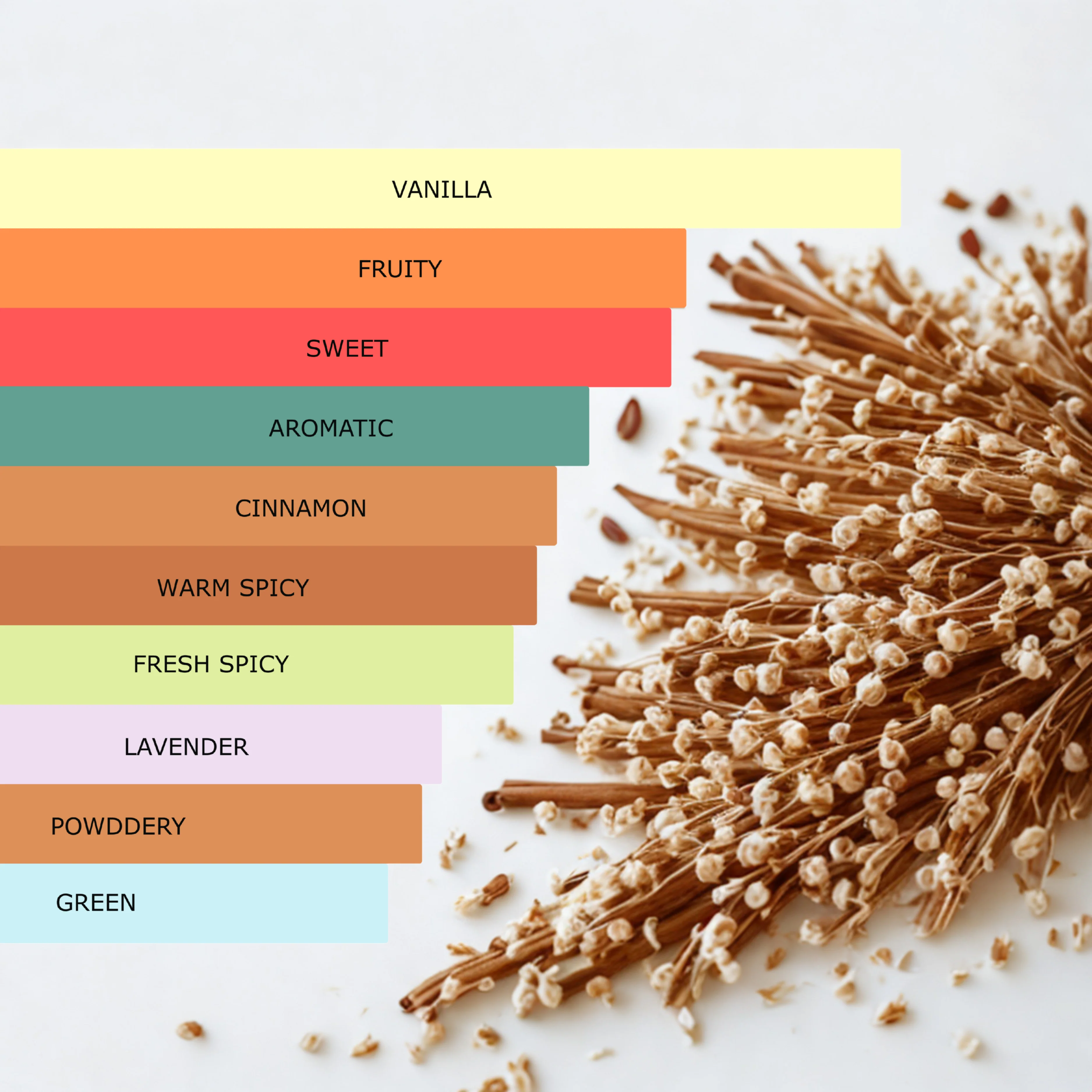Millennial Perfumer™ – Male | JPG Ultra Male Type (Profile Match) | Bold Sweet & Seductive with Pear Cinnamon & Vanilla | Intense Masculine Seduction - Image 6