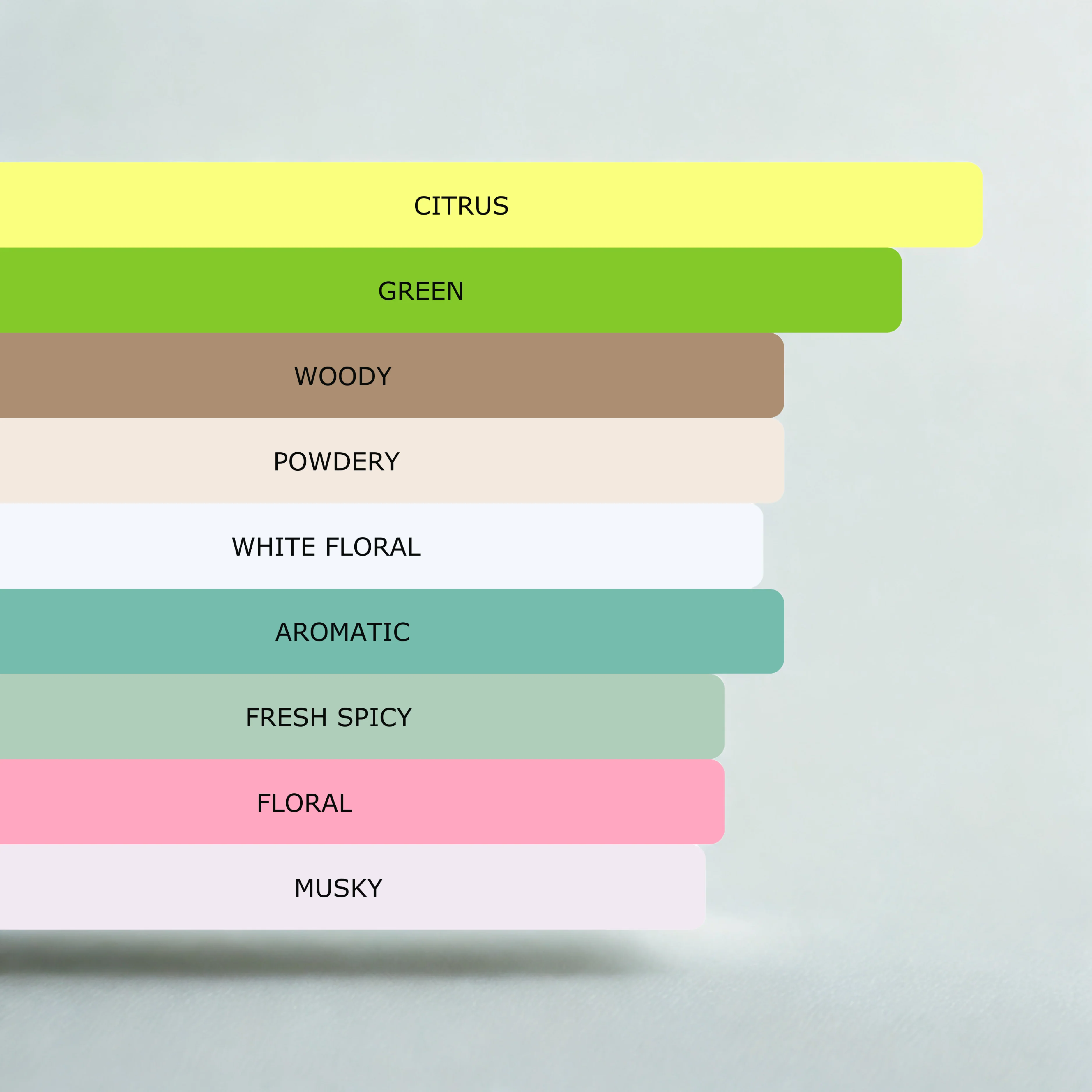 Millennial Perfumer™ – One | CKs One Type (Profile Match) | Unisex Fresh Citrus Aromatic | Iconic Fresh Unisex Classic - Image 5