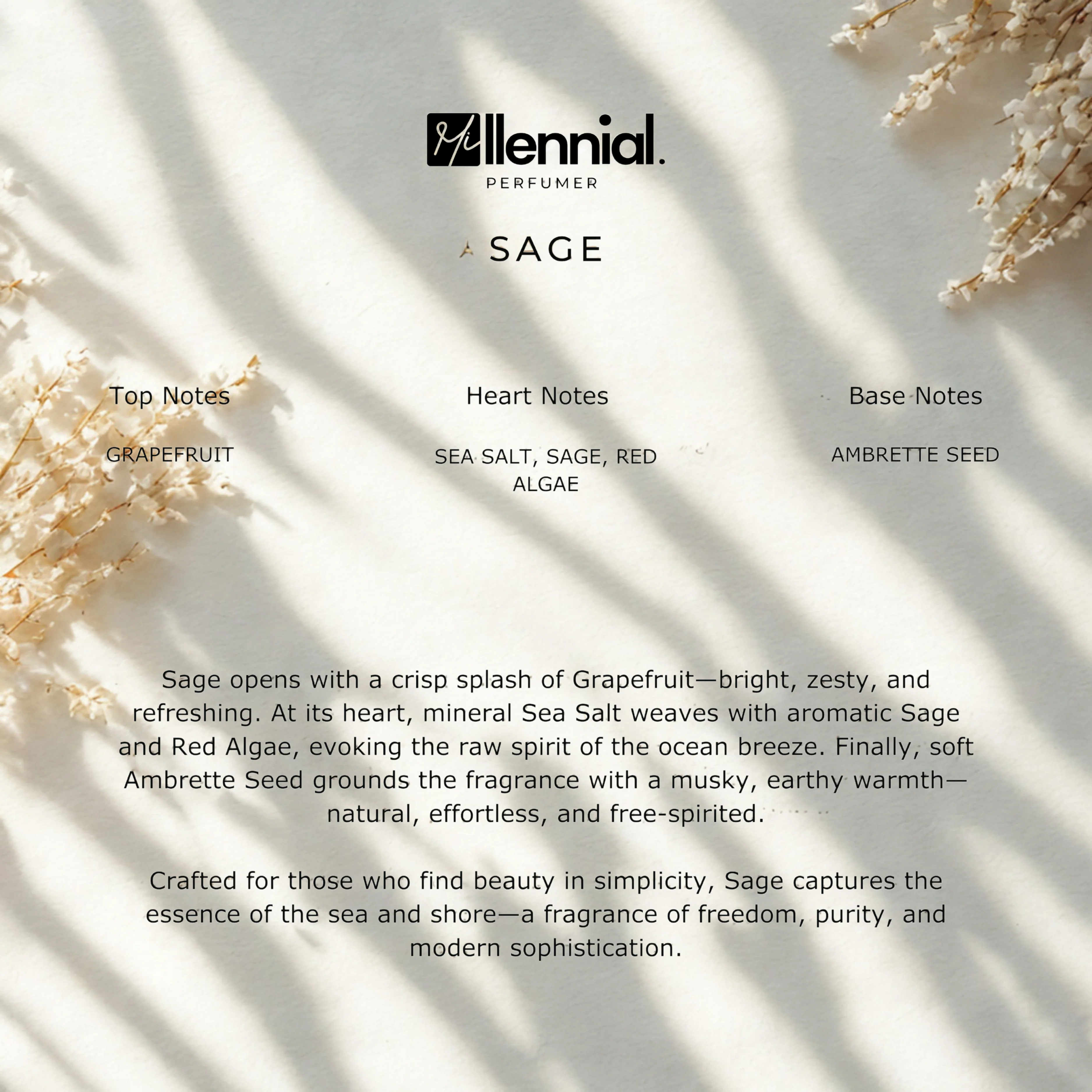 Millennial Perfumer™ – Sage | Jo Maalone Wood Sage & Sea Salt Type (Profile Match) | Fresh Aromatic Woody | Crisp Natural & Long-Lasting - Image 6