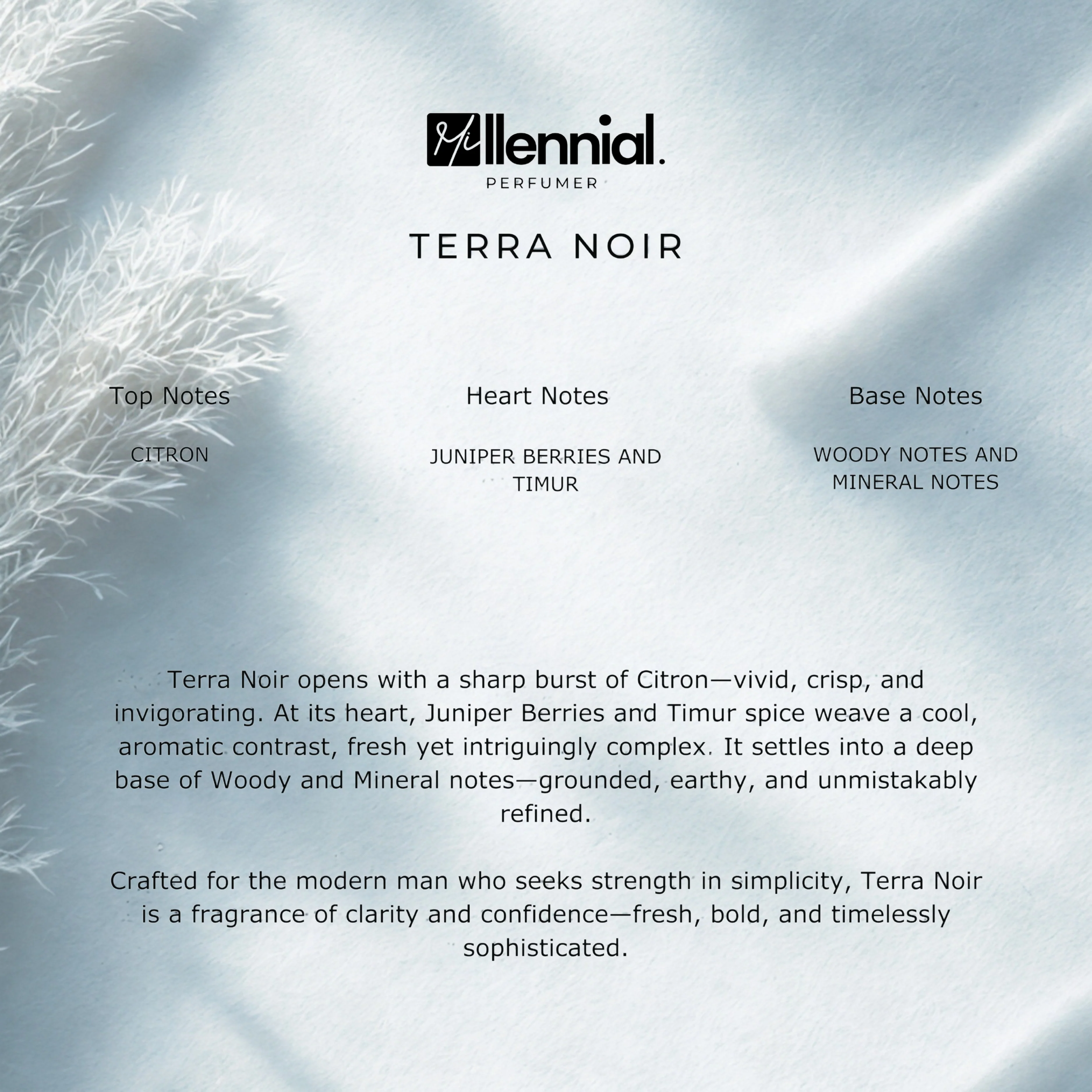 Millennial Perfumer™ – Terra Noir | Hermees Terre d Hermes Type (Profile Match) | Woody Earthy Mineral | Grounded Masculine Signature - Image 6