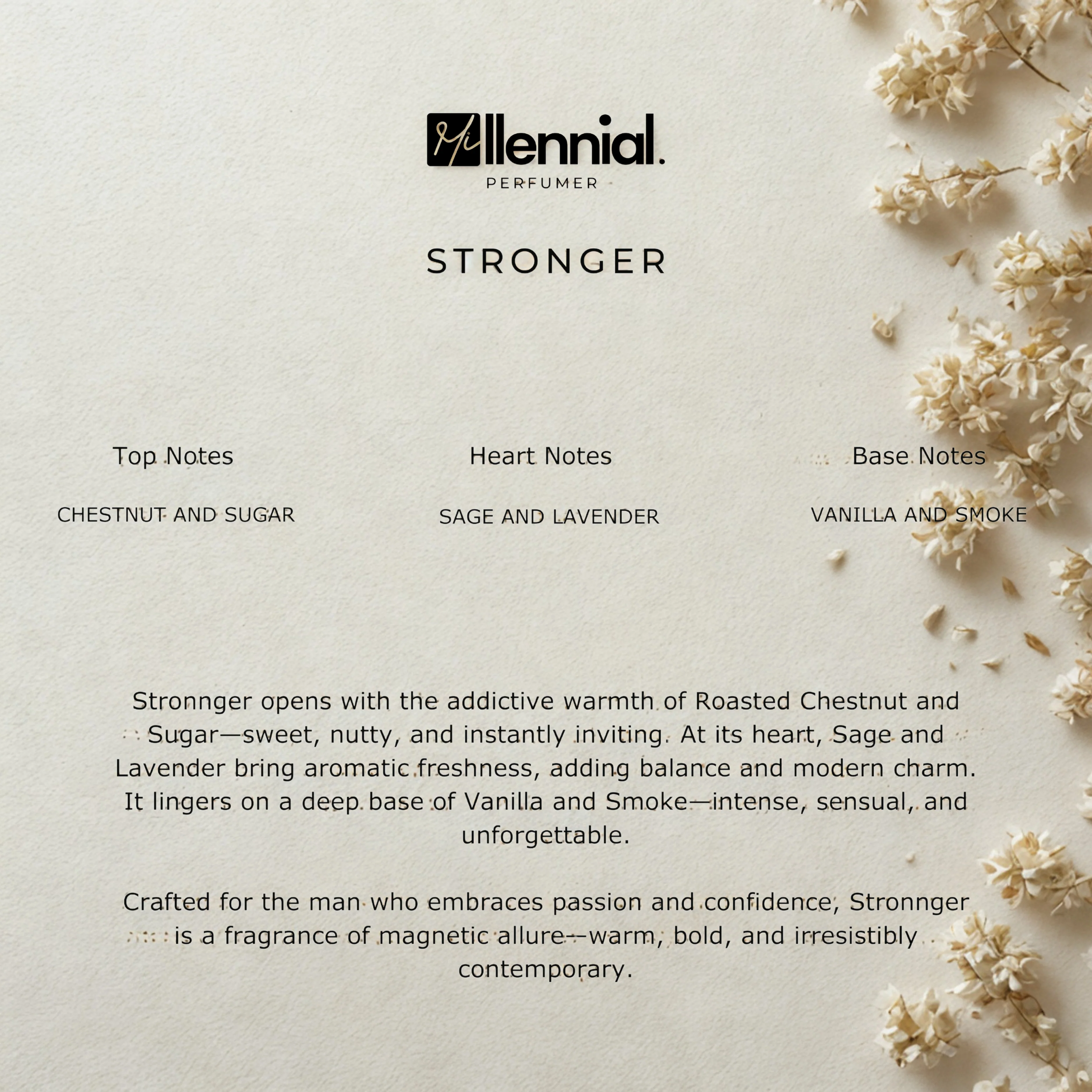 Millennial Perfumer™ – Stronger | Arrmaani Stronger With You Type (Profile Match) | Warm Sweet & Aromatic with Chestnut Vanilla & Smoke | Romantic Masculine Warmth - Image 6