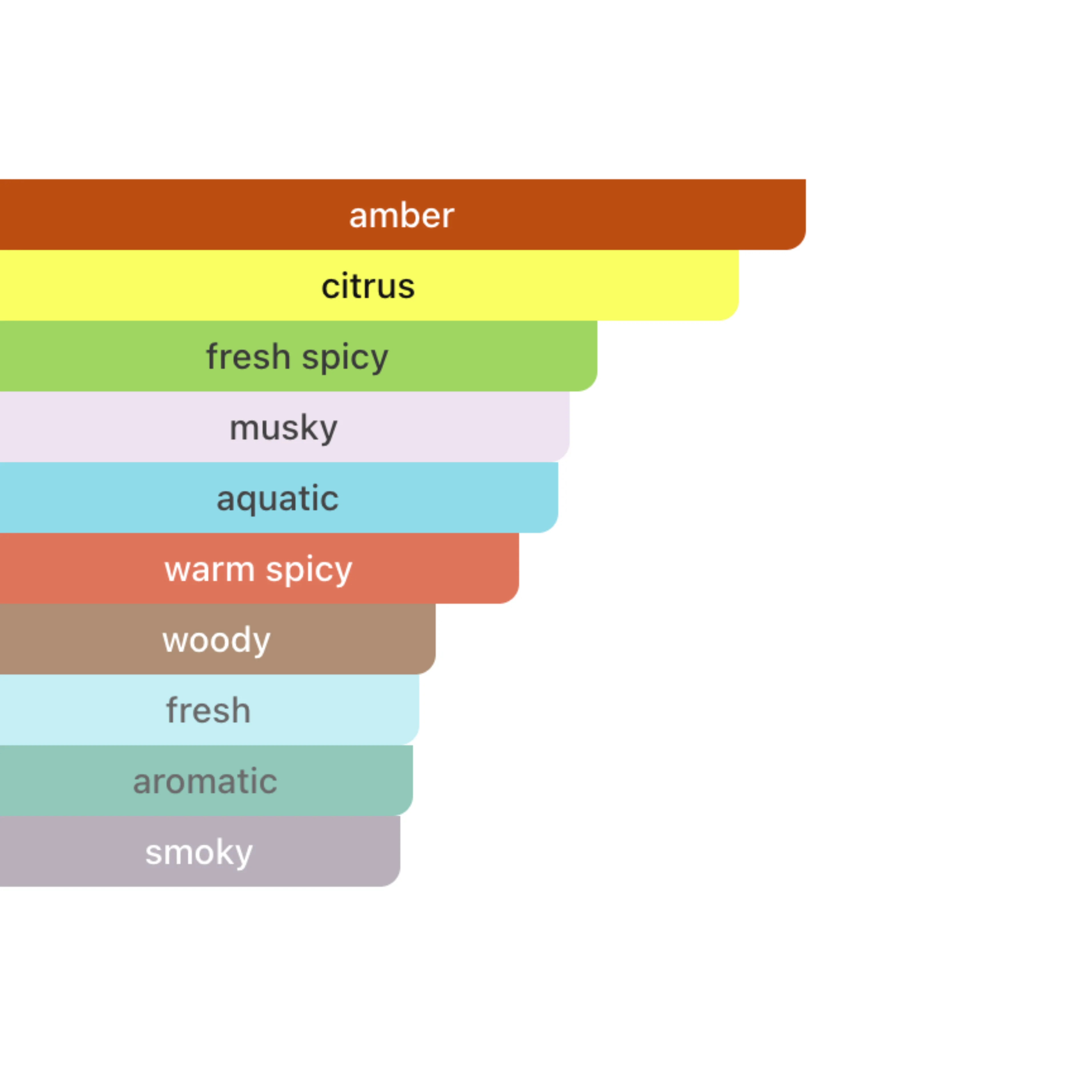 Millennial Perfumer™ – Dylan | Versaace Dylan Blue Type (Profile Match) | Fresh Citrus, Aquatic Notes & Ambroxan Woods | Modern Masculine Freshness - Image 5